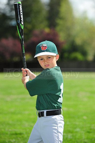 FmTinCaps043