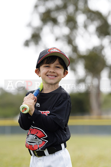 TBMudcats00184