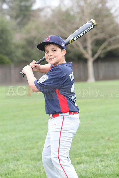 AAARedsox085