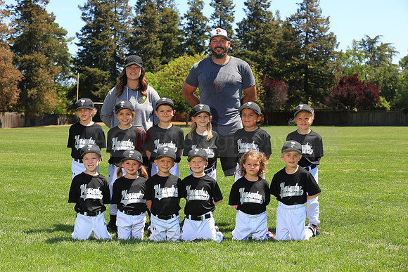 PLL_TB_Lugnuts00107