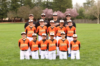 AAA ORIOLES