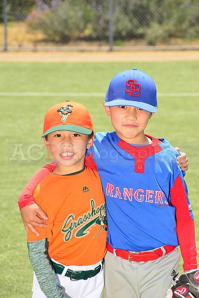 SB_TB_Grasshoppers00027
