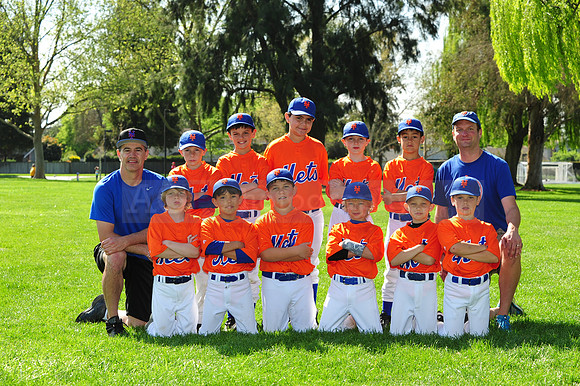 AA METS069