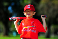 TBall_Cardinals067