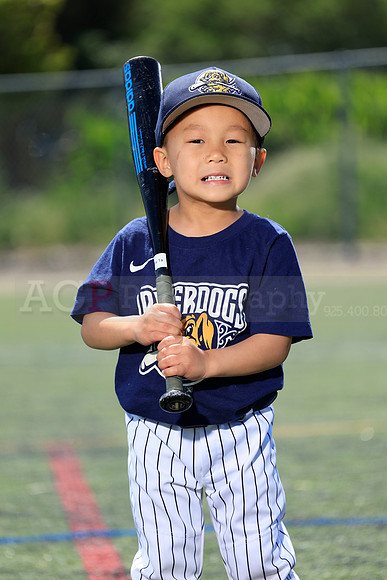 SB_TB_Riverdogs65