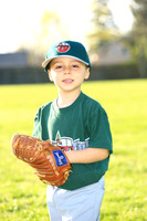 TBTinCaps017