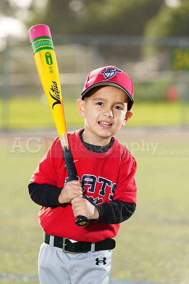 SB_TB_Bats034