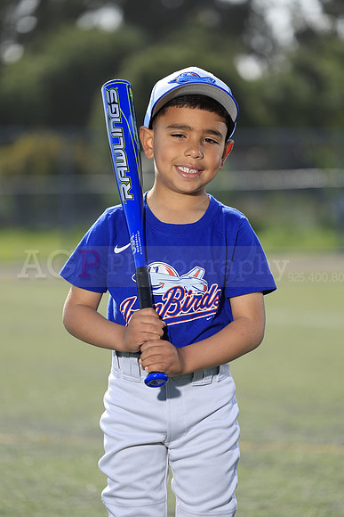 SB_TB_IronBirds045