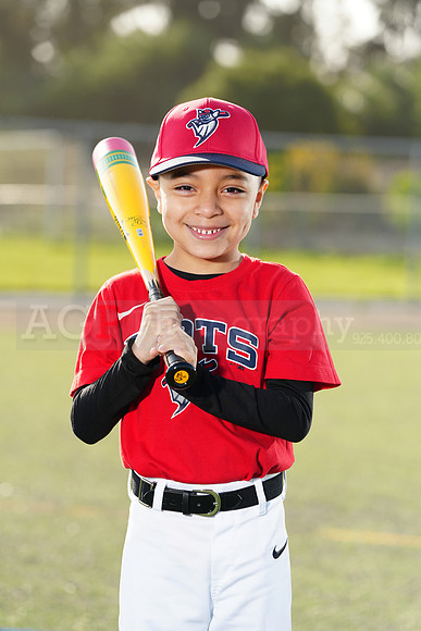 SB_TB_Bats053