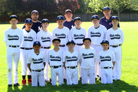 MAJOR YANKEES