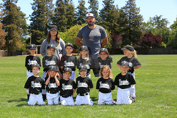 PLL_TB_Lugnuts00110