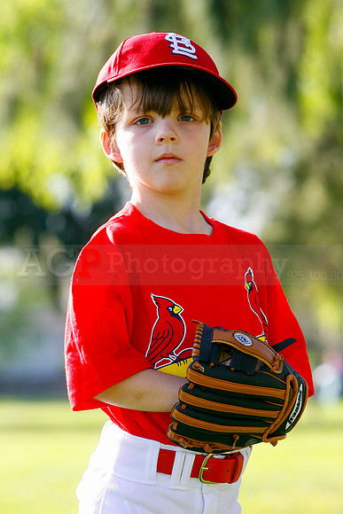 TBCards051