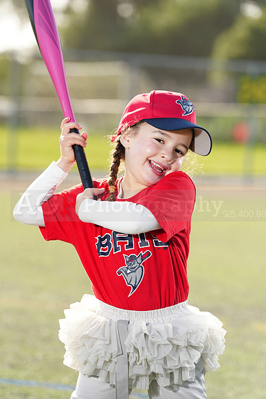 SB_TB_Bats068