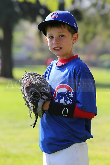 AAACubs009