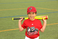 SB_TB_Ironpigs00006