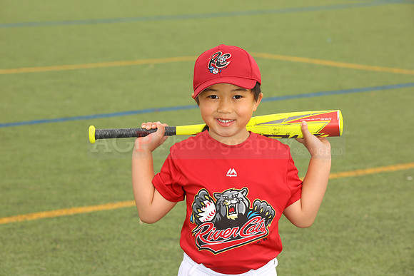 SB_TB_Ironpigs00006