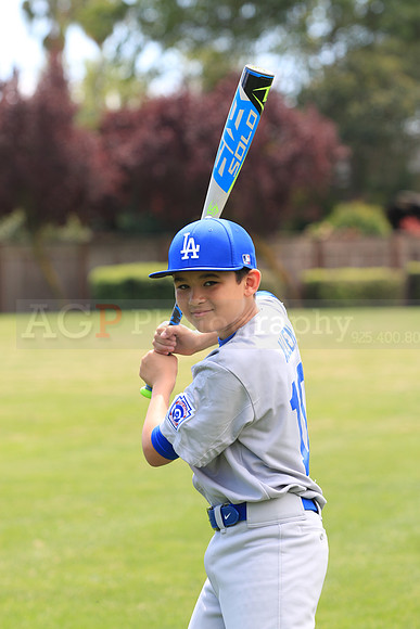 MDodgers0011