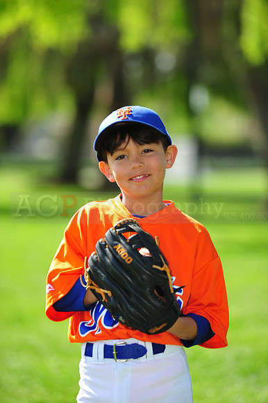 AA METS026