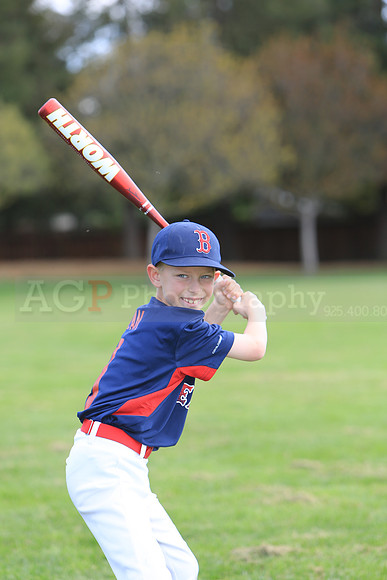 AARedSox042
