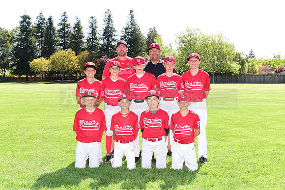 MCardinals0059