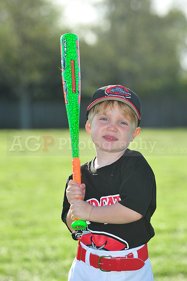 TBMudcats017