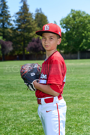 PLL_M_Cardinals00026