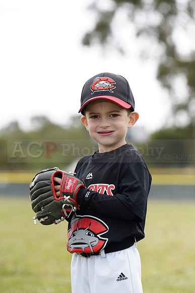 TBMudcats00169