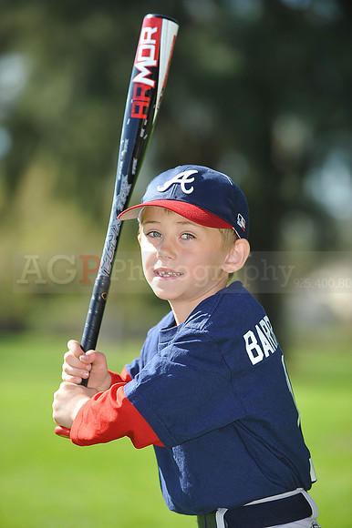 Farm_Braves100