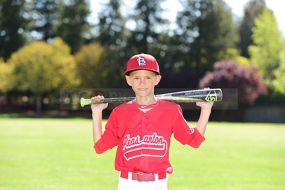 MCardinals0026