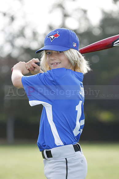 AABlueJays048