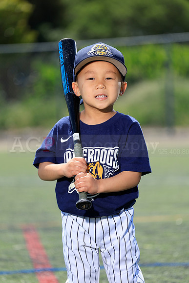 SB_TB_Riverdogs64