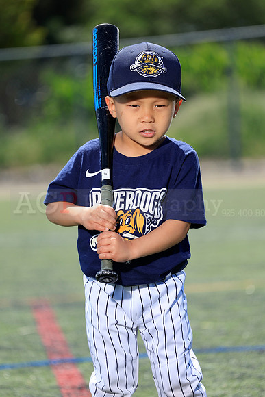 SB_TB_Riverdogs67