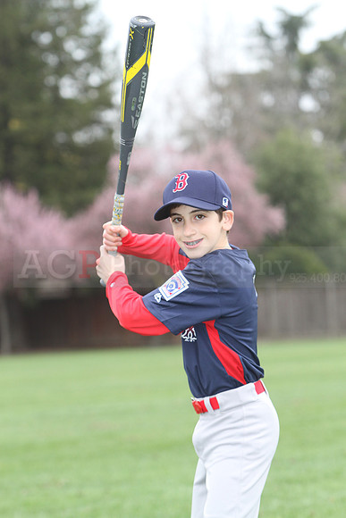 AAARedsox061