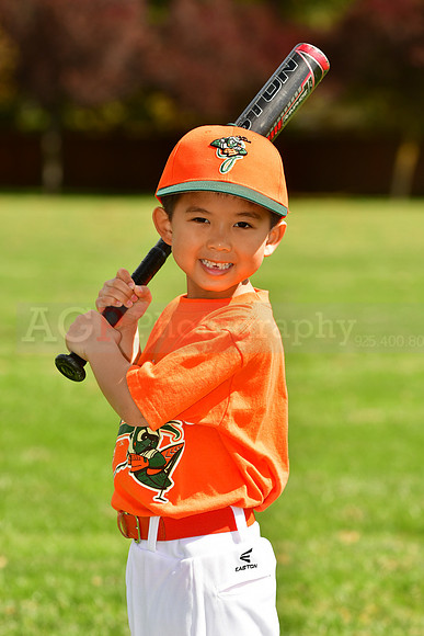 FMGrasshoppers046
