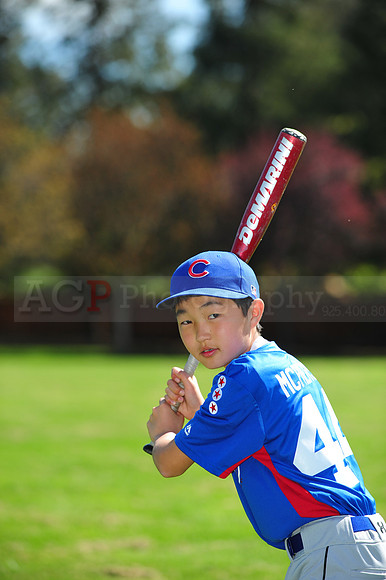 AAACubs081