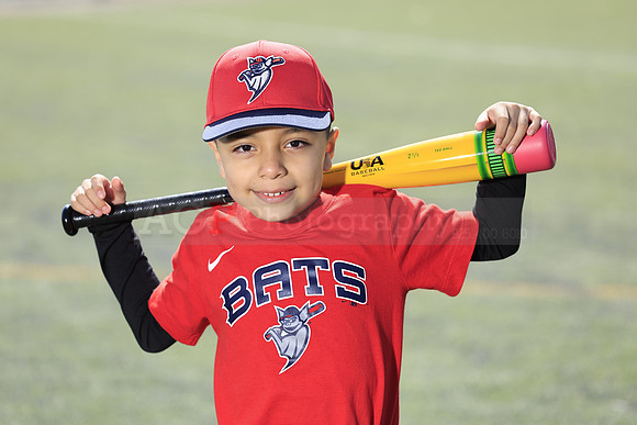 SB_TB_Bats015