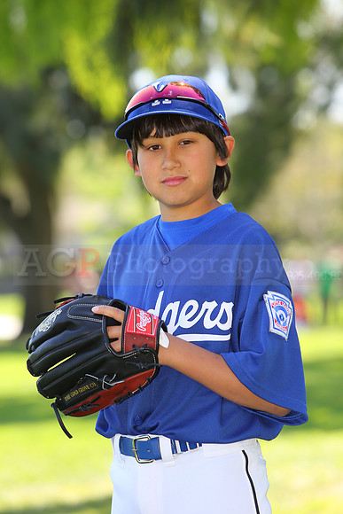 MajorDodgers035