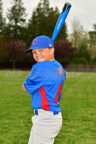 AAACubs014