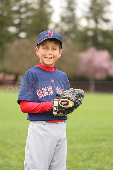 AARedsox061