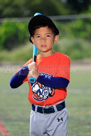 SB_TB_RockHounds30