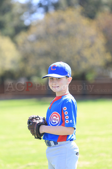 AAACubs054