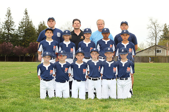 AAATigers085