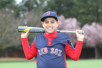 AAARedsox010