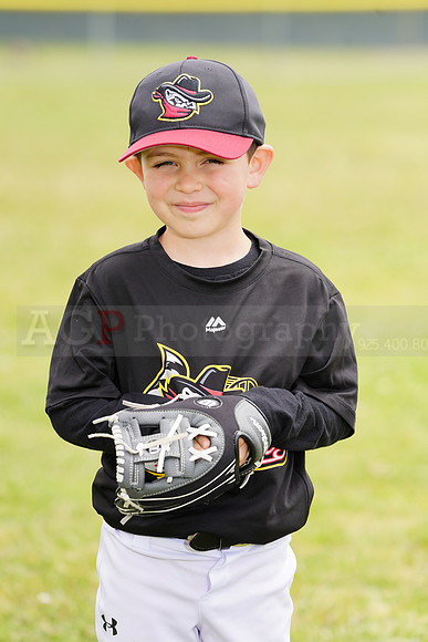 AGP09078
