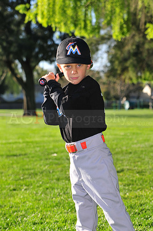 TBMarlins021