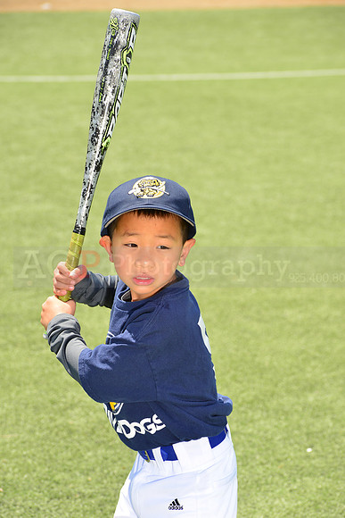 SB_TB_Riverdogs00031