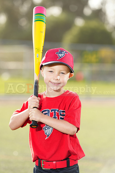SB_TB_Bats026