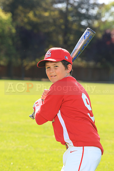 PLL_AAA_Cardinals00004