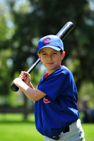 Major_Cubs009