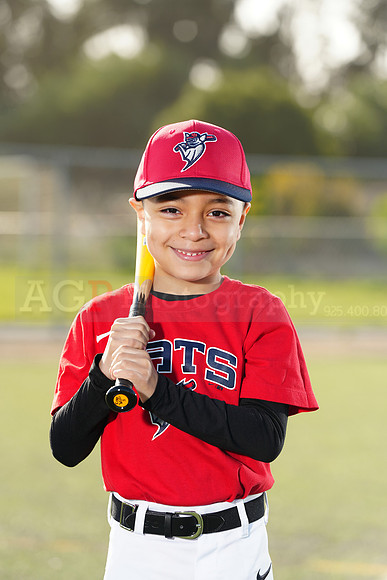 SB_TB_Bats051